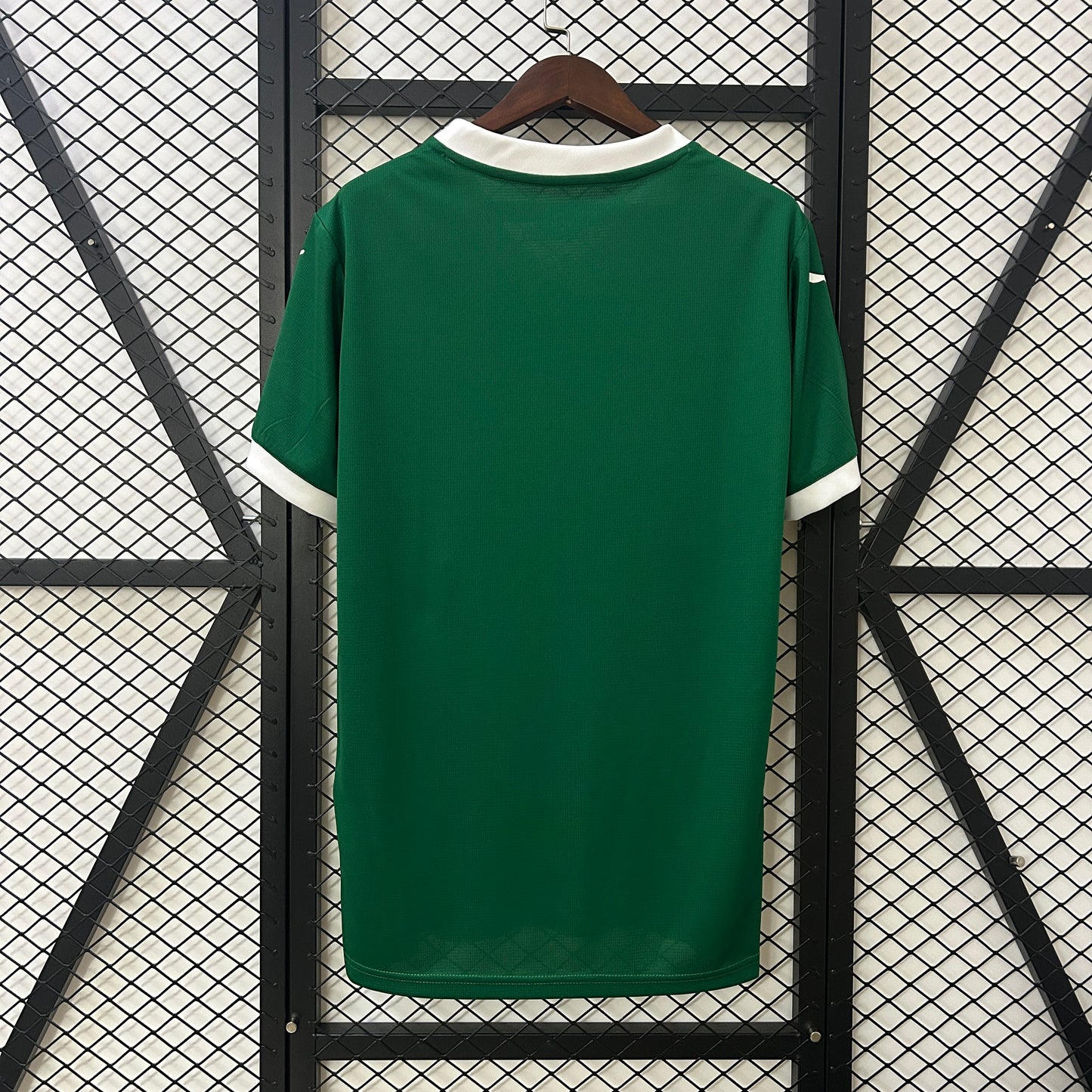 2025/2026 Palmeiras home Shirt