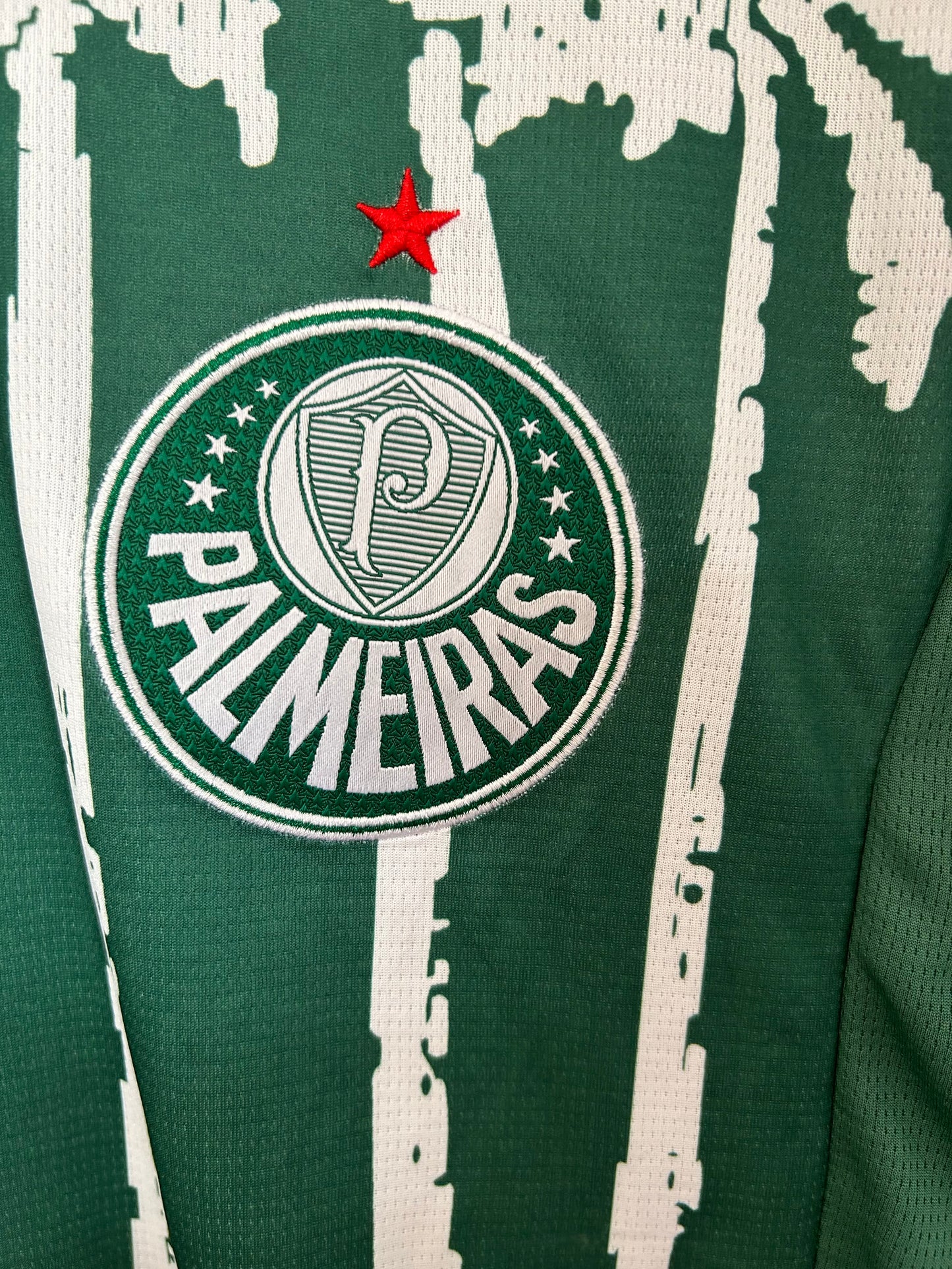 2025/2026 Palmeiras Special Edition Shirt