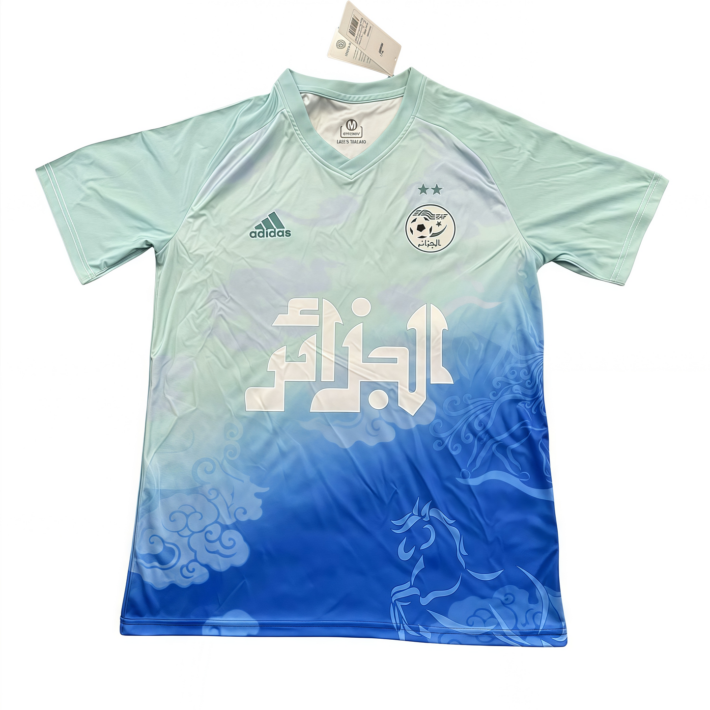 2025/2026 Morocco training uniform