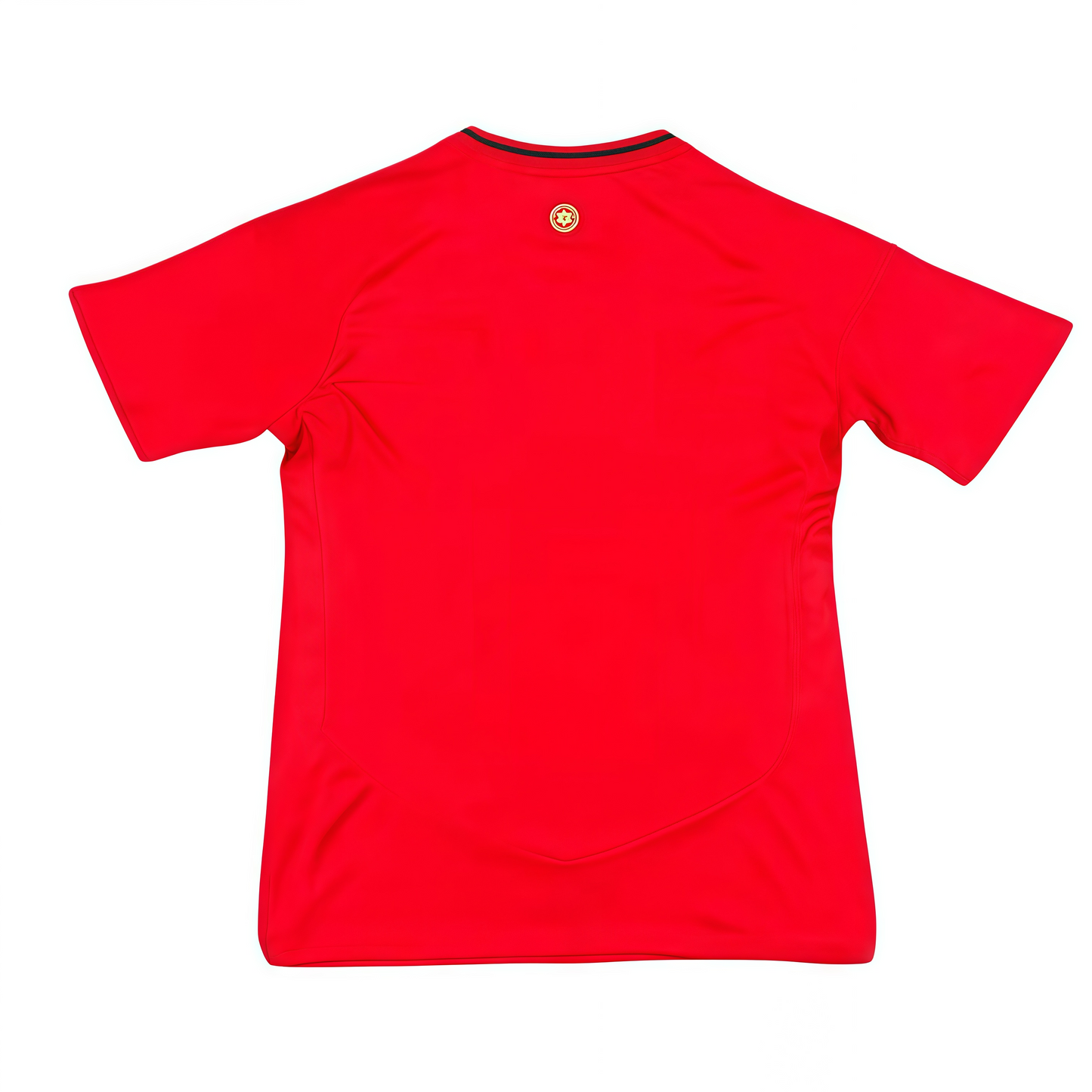 2024/2025 Wales Home Shirt