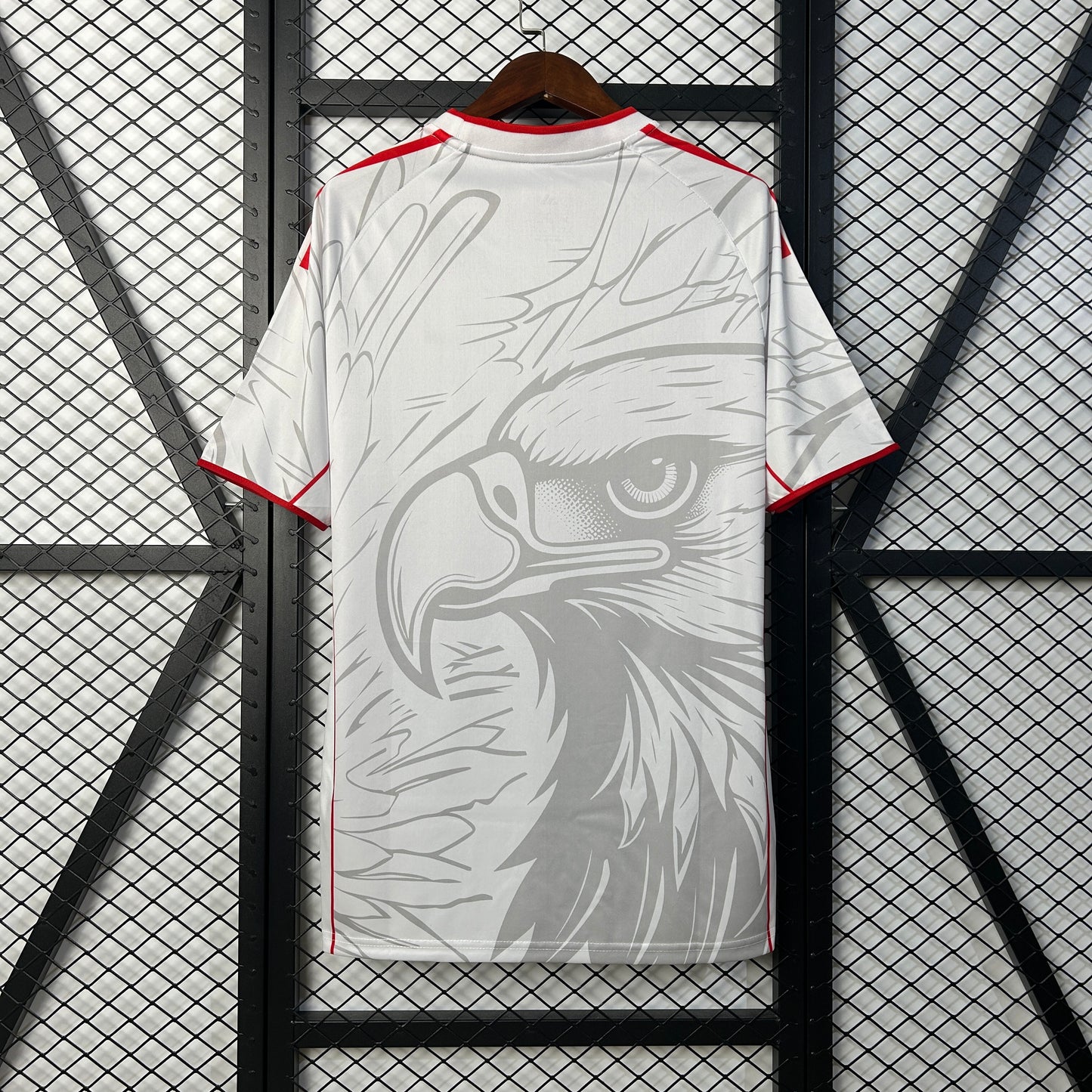 25/26 Benfica Special Edition Shirt
