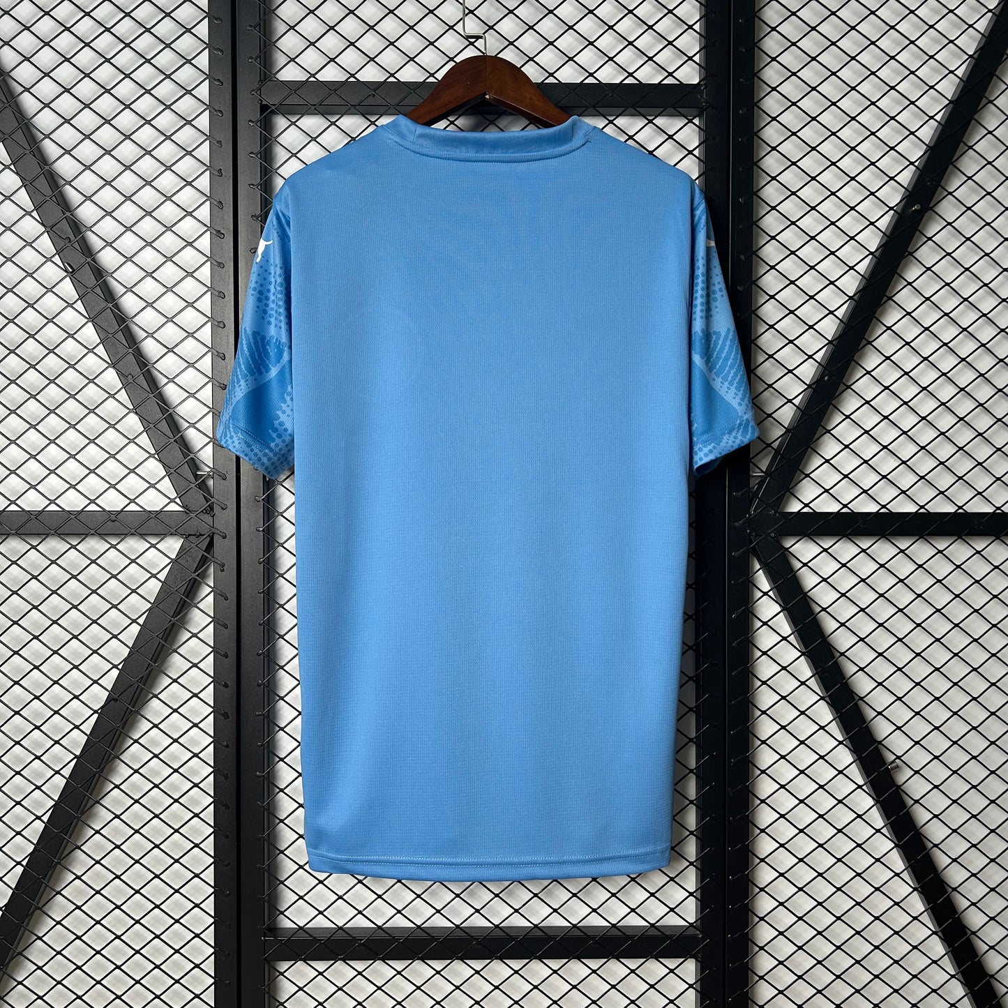 2025/2026 Palmeiras Goalkeeper Shirt