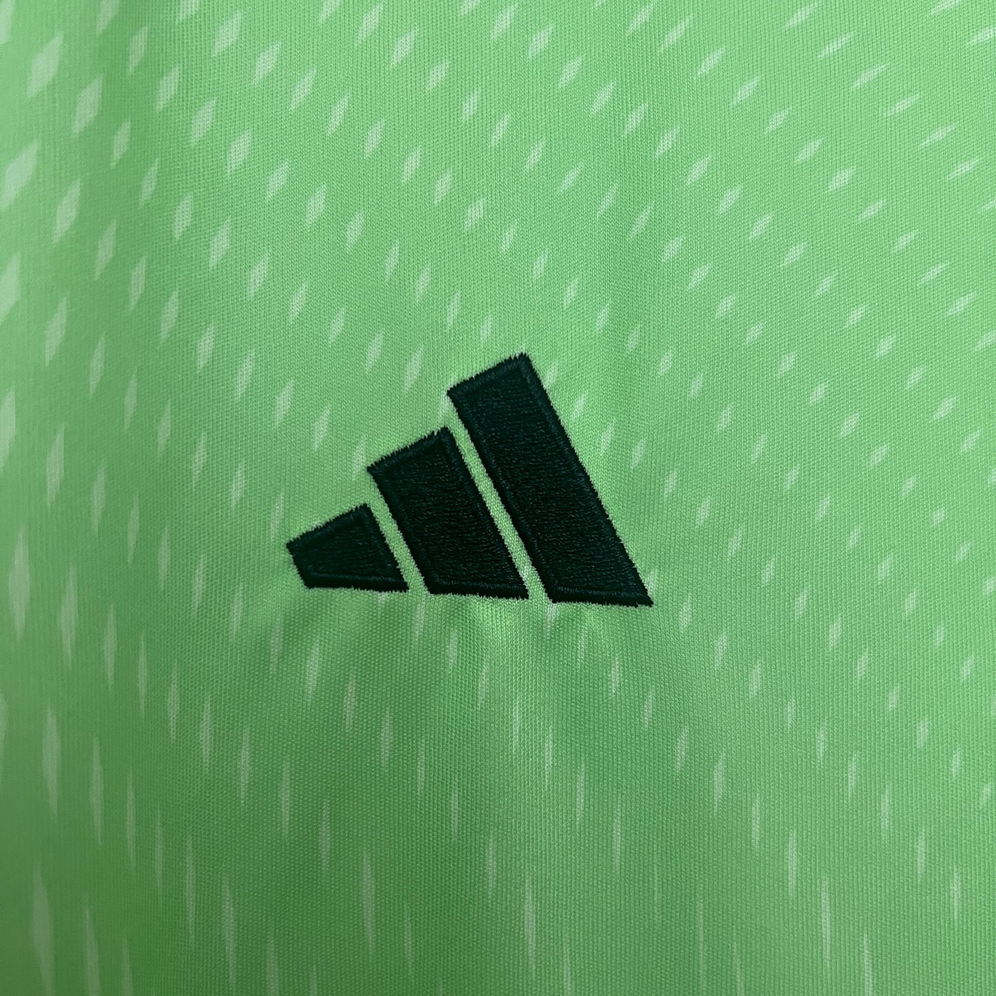 2025/2026 Bayern Munich Goalkeeper Green Shirt