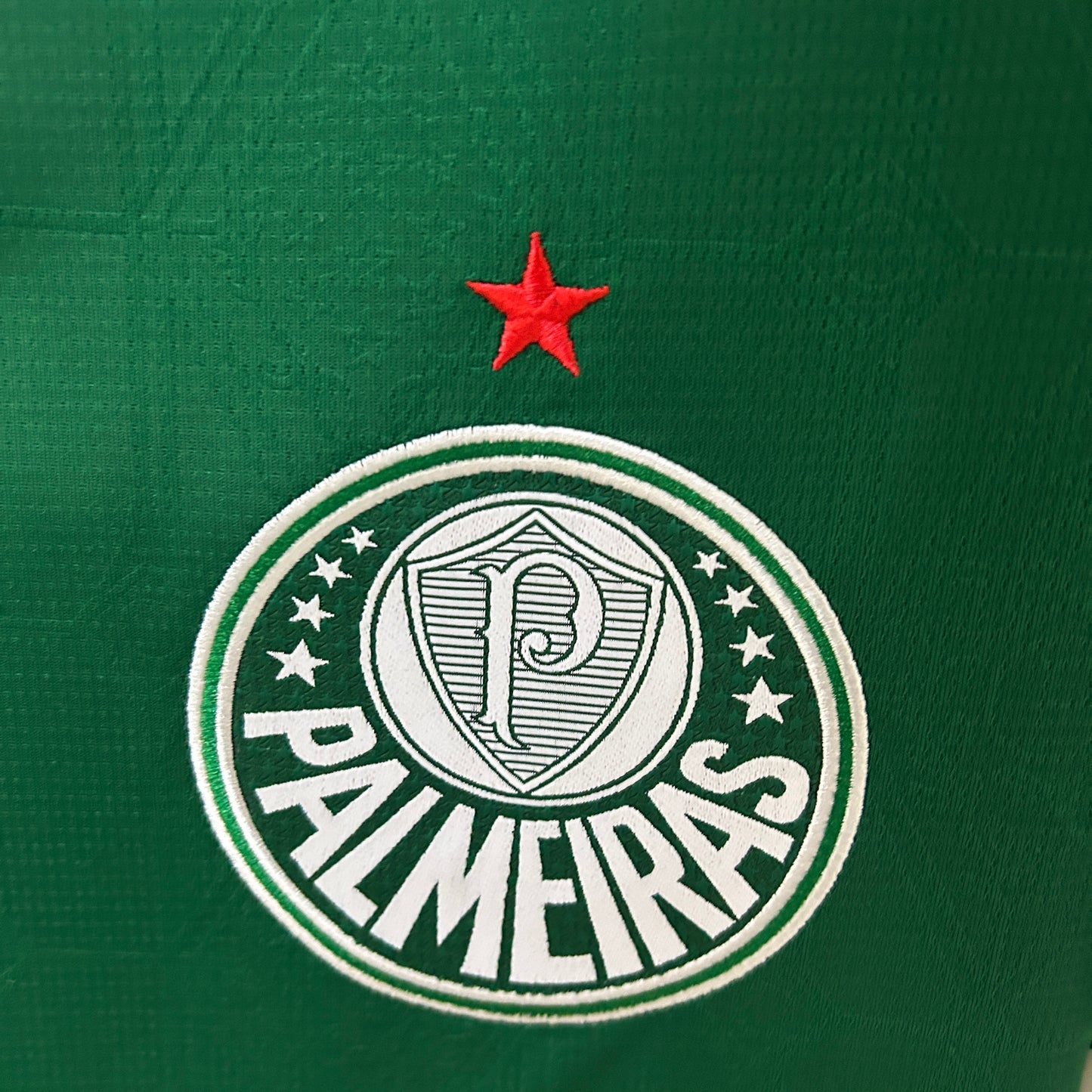 2025/2026 Palmeiras home Shirt