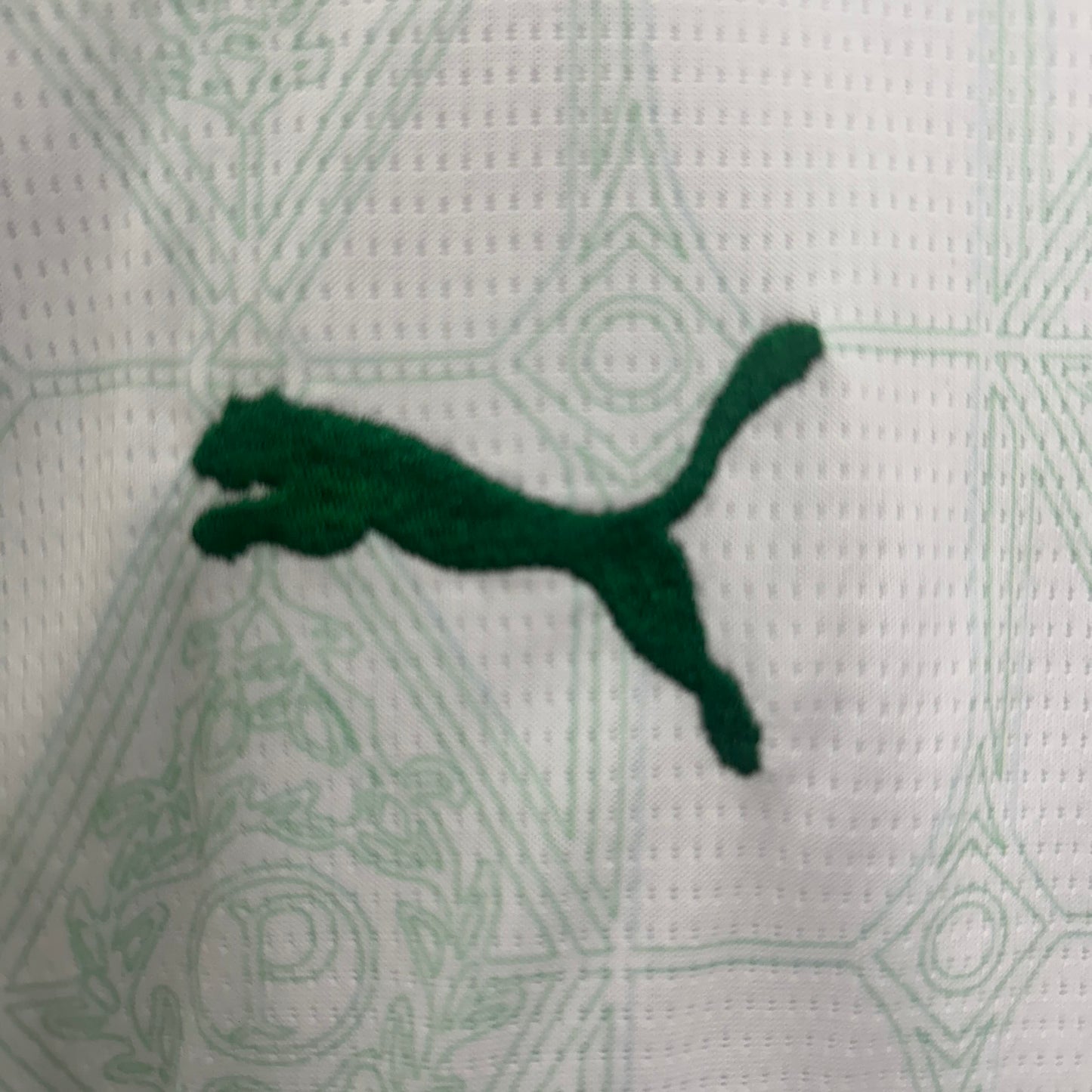 2025/2026 Palmeiras Away Shirt for Kids