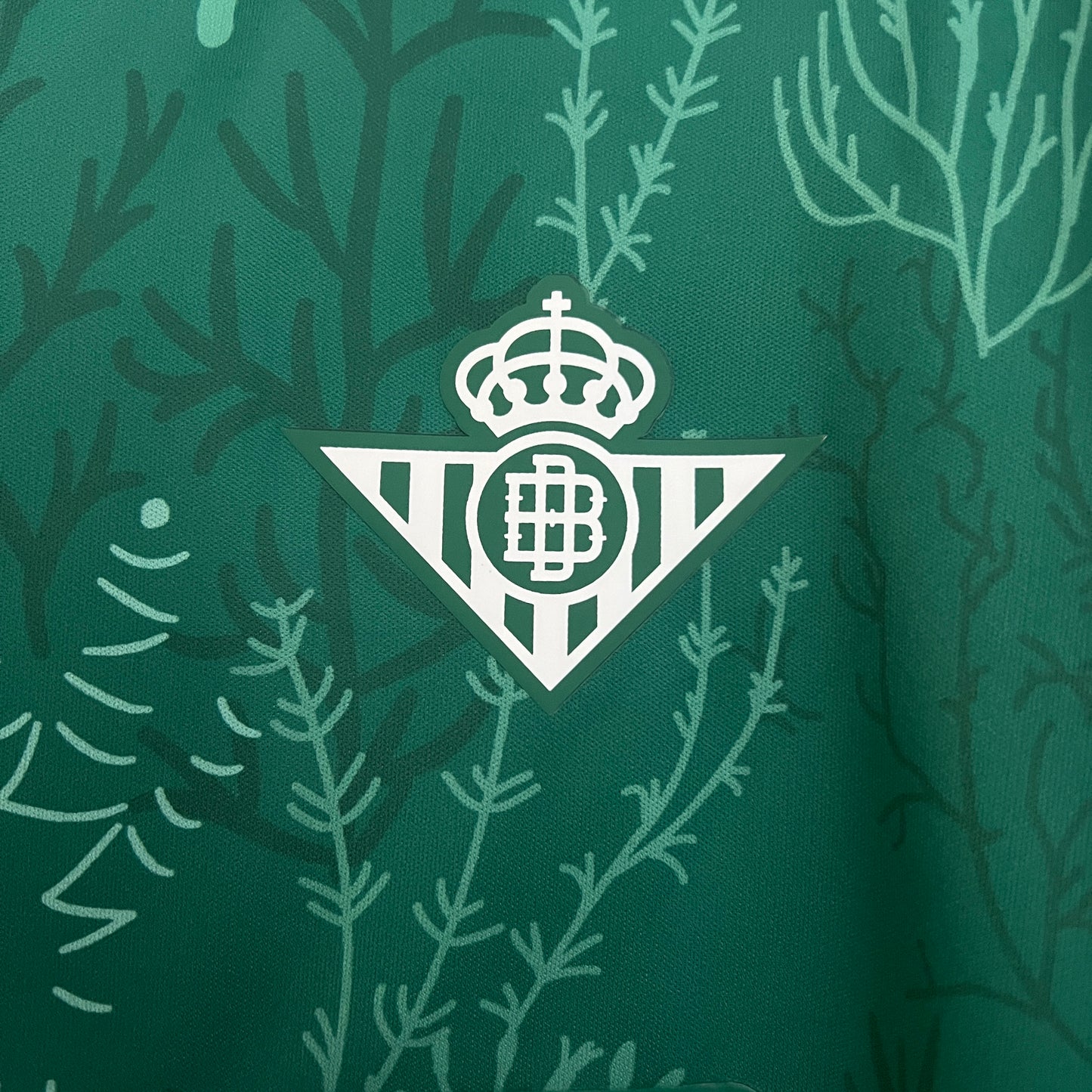 2025/2026 Real Betis Special Edition Shirt