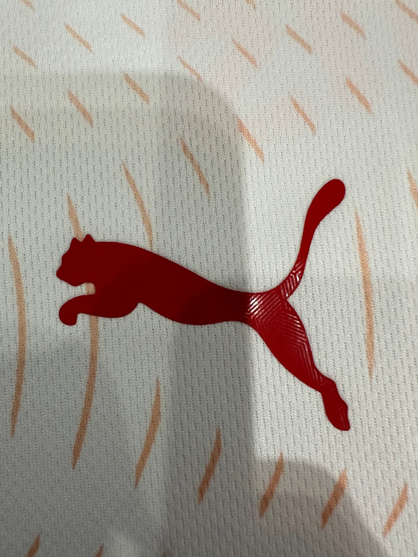 2025/2026 Red Bull Home Shirt