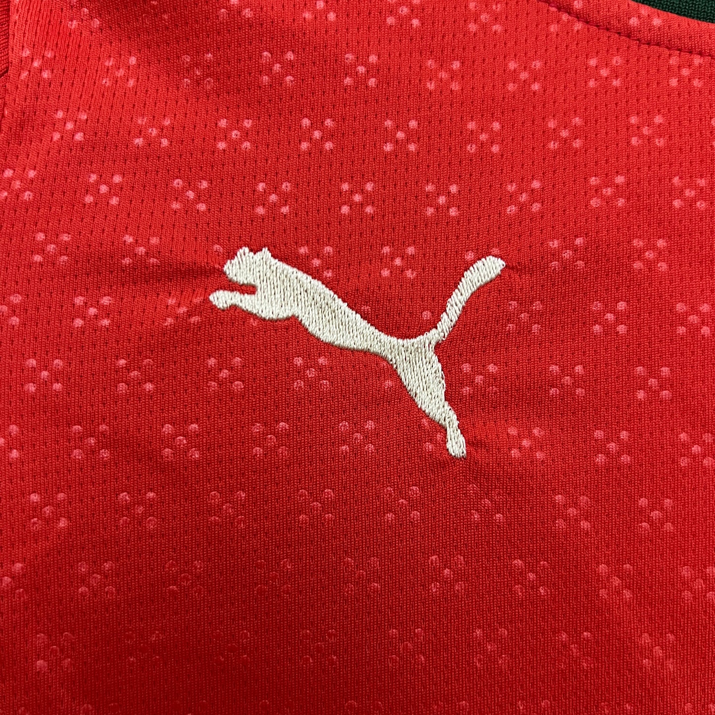 2025 Portugal Home Shirt kids