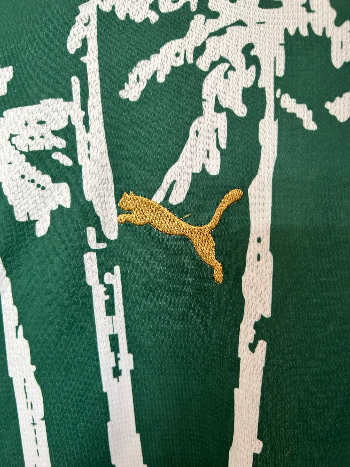 2025/2026 Palmeiras Special Edition Shirt