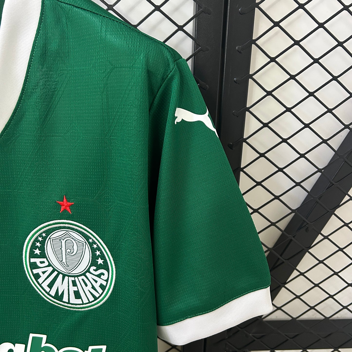 2025/2026 Palmeiras home Shirt