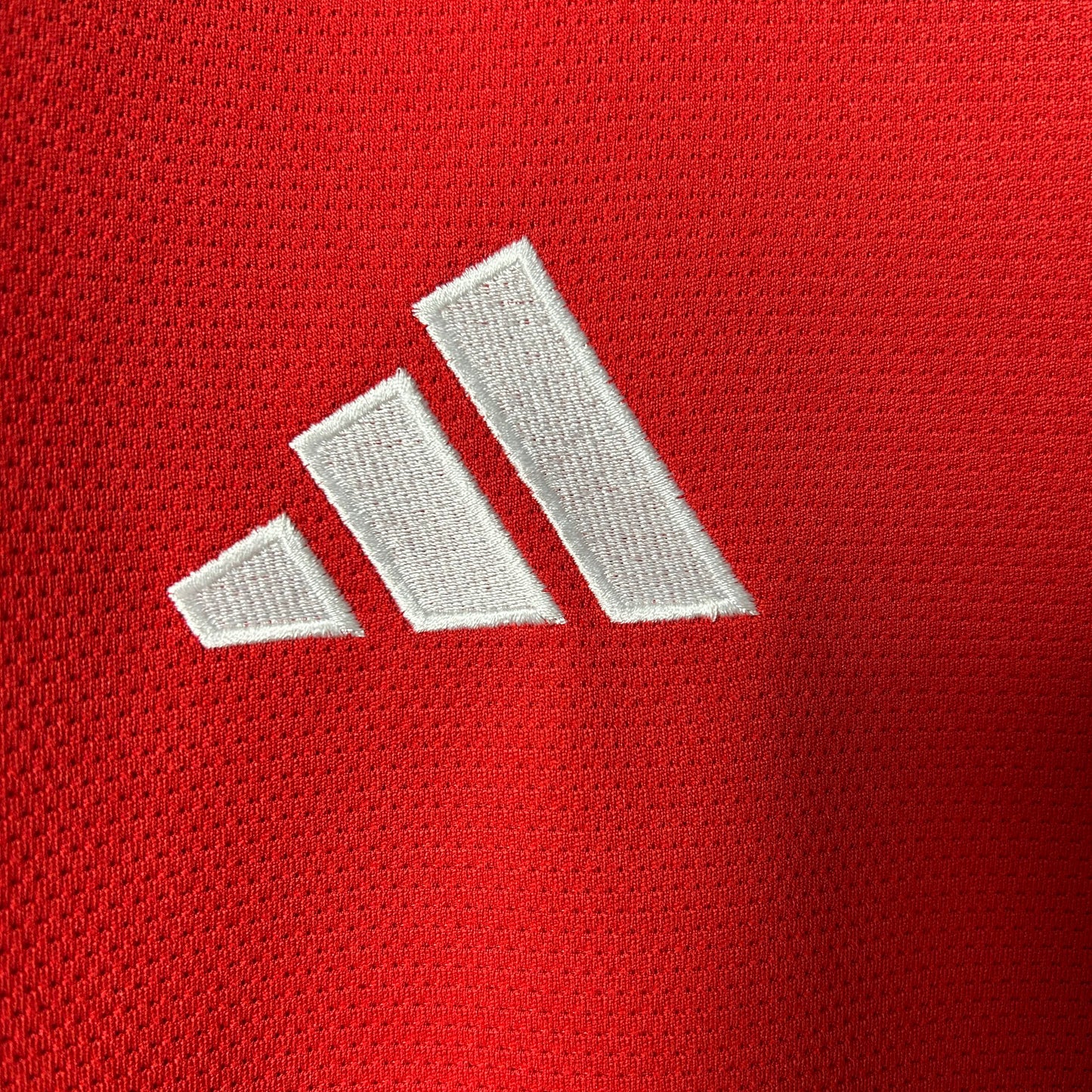 2025/2026 Long sleeve Brazil Internacional Home Shirt