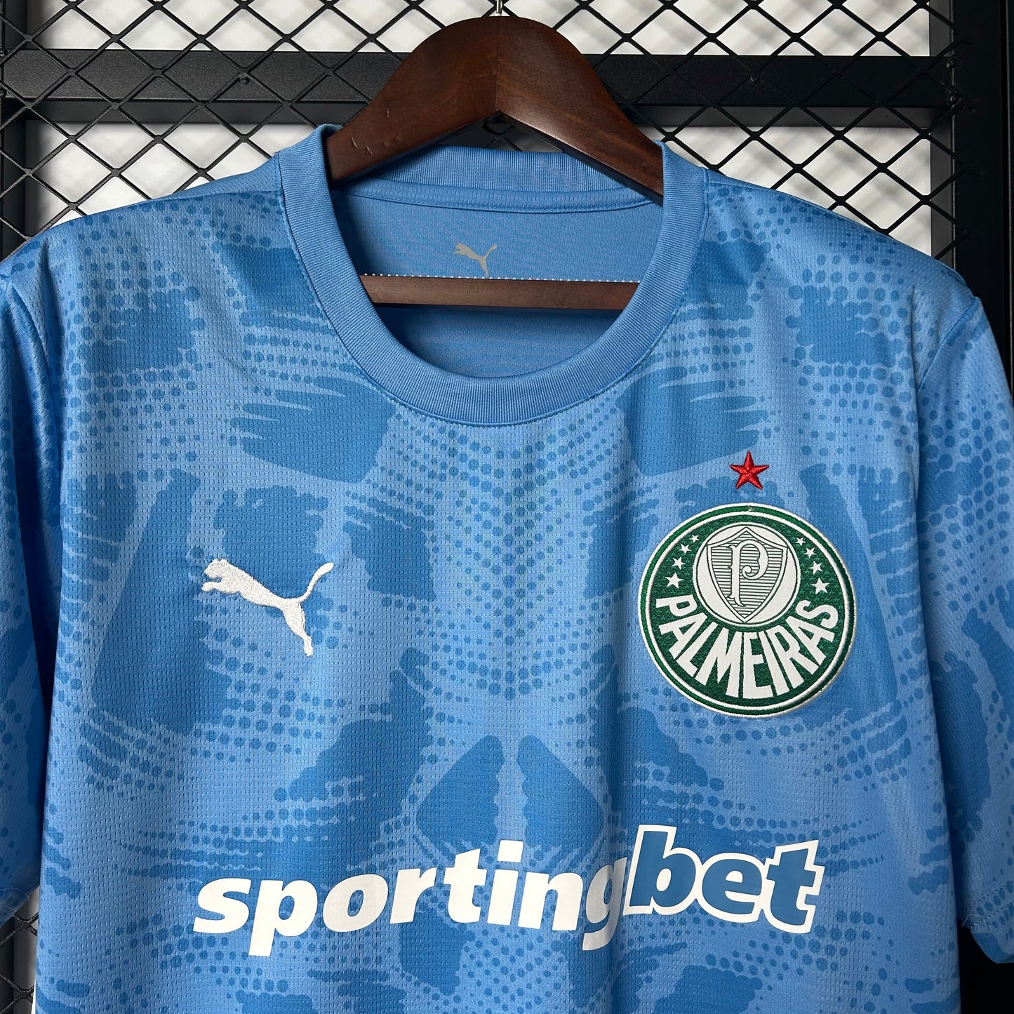 2025/2026 Palmeiras Goalkeeper Shirt