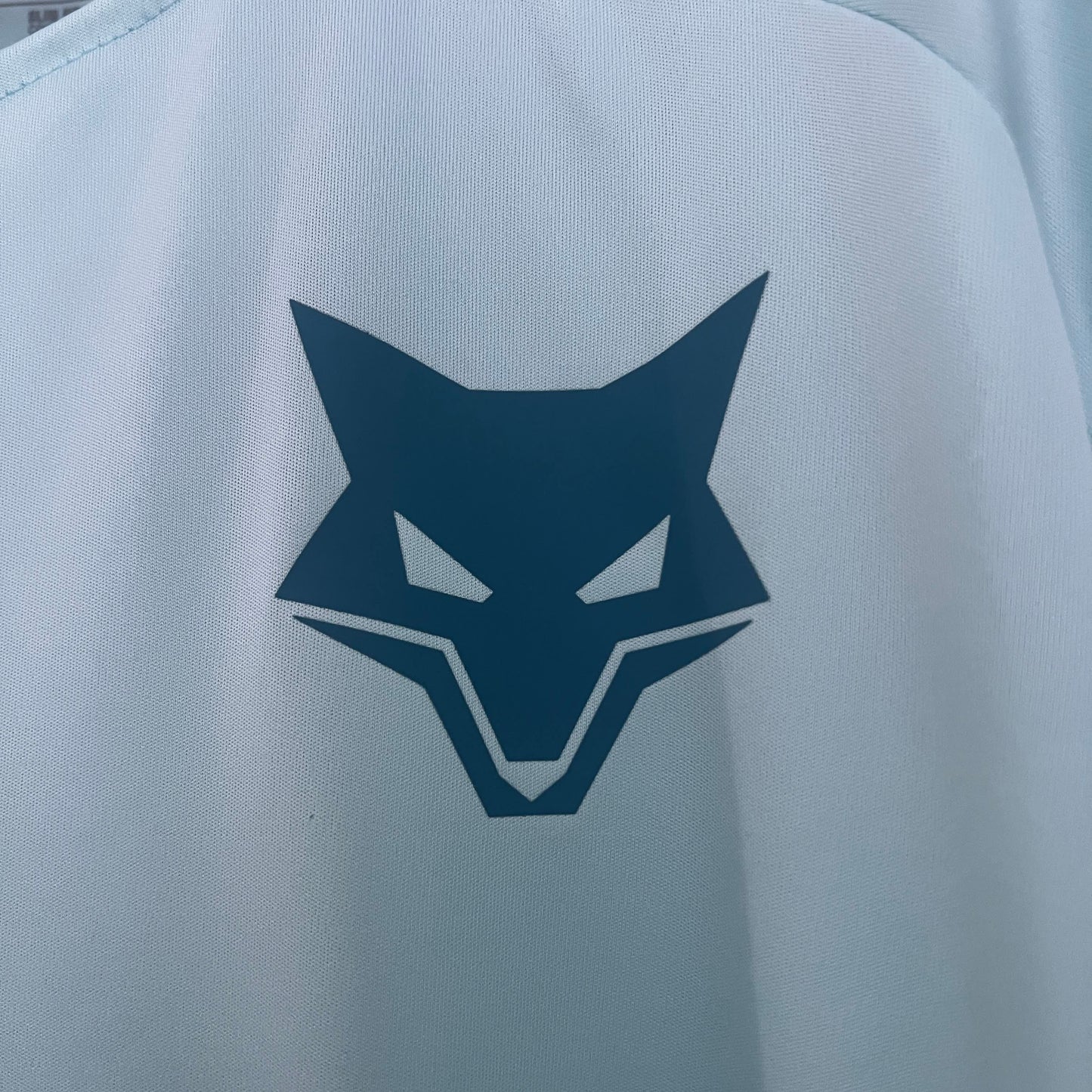 2025/2026 Cruzeiro training suit Shirt