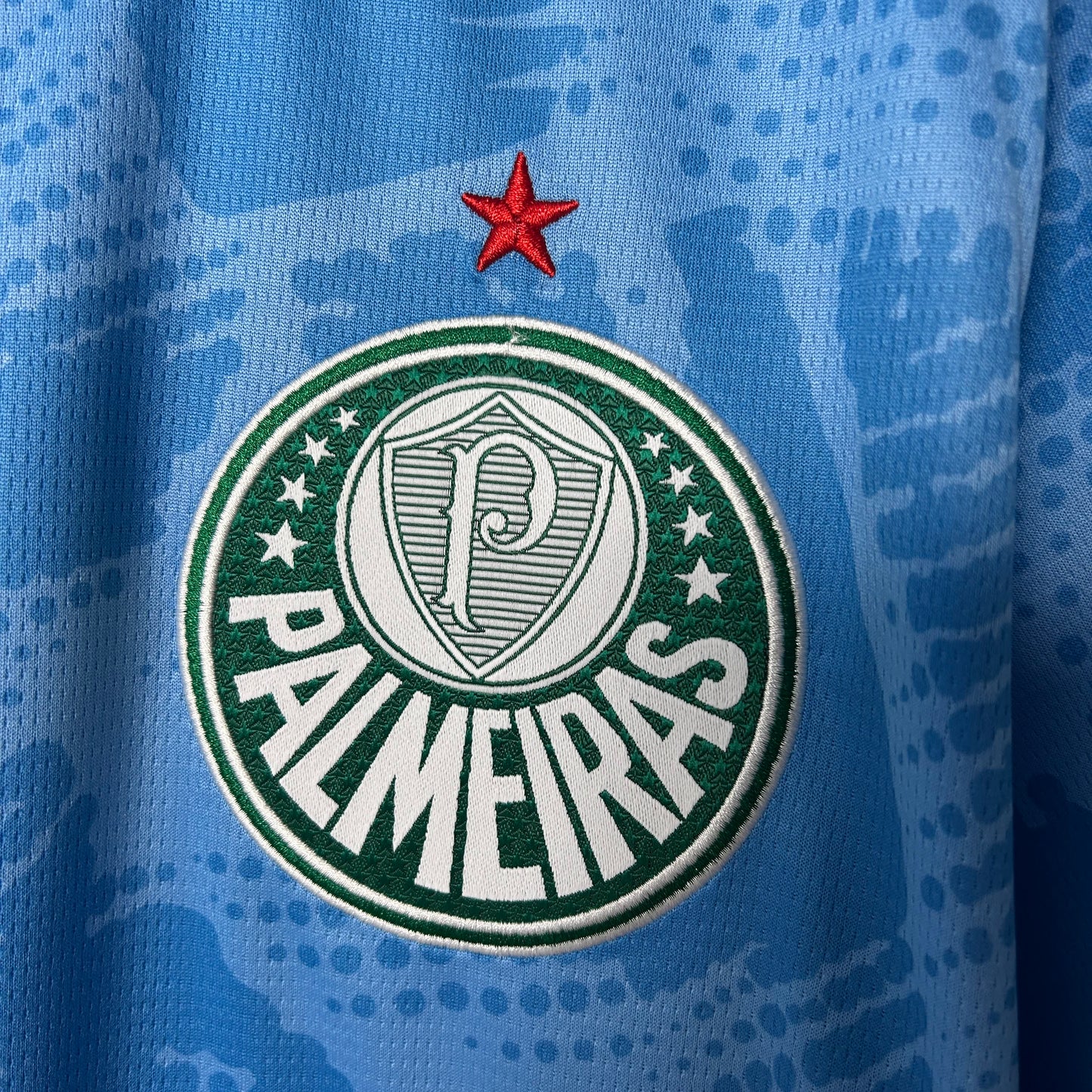 2025/2026 Palmeiras Goalkeeper Shirt