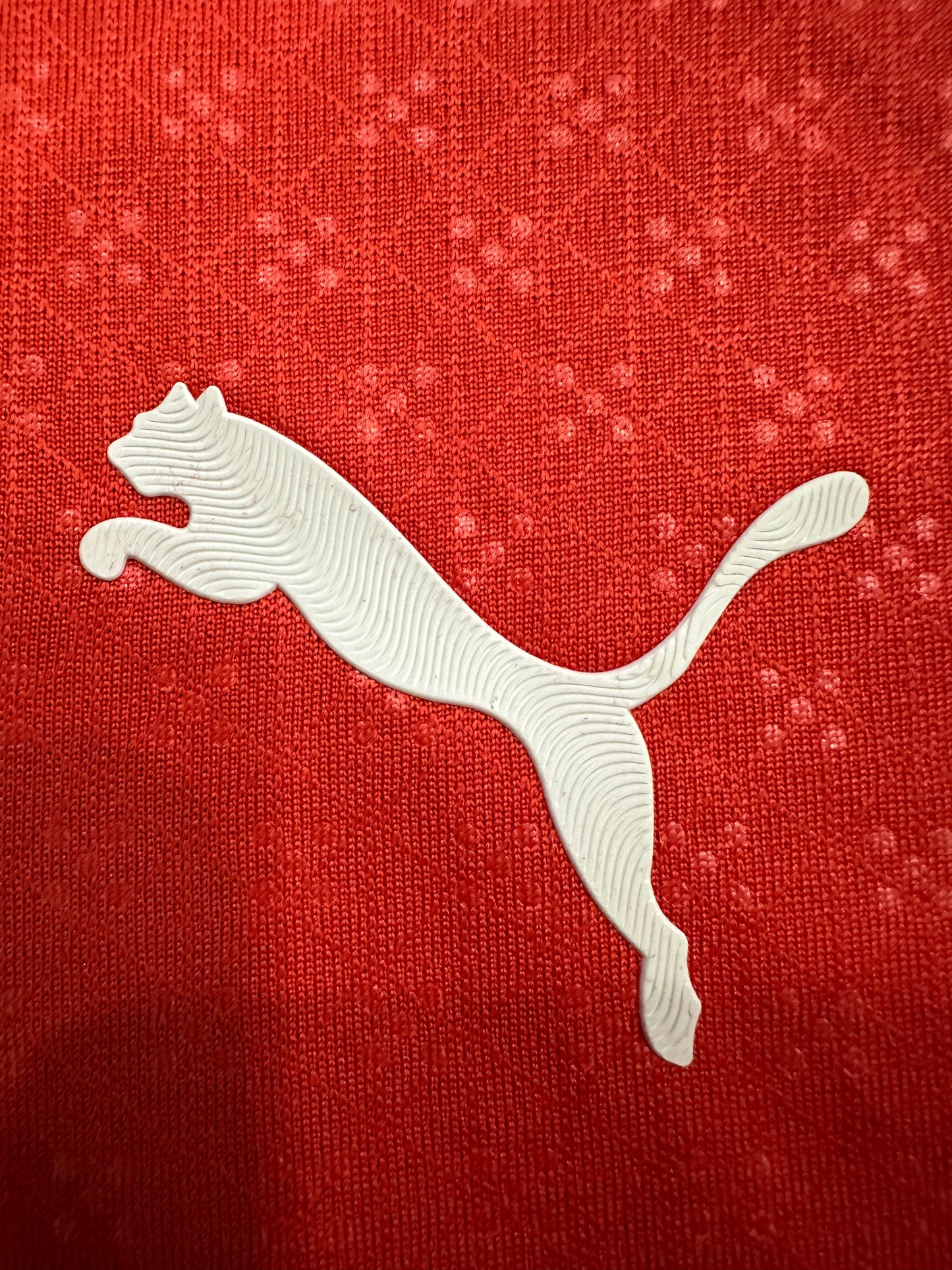 2025/2026 Portugal Home Shirt