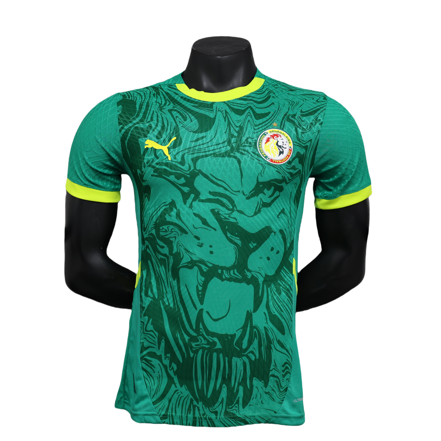 2025/2026 Senegal Away Player Shirt
