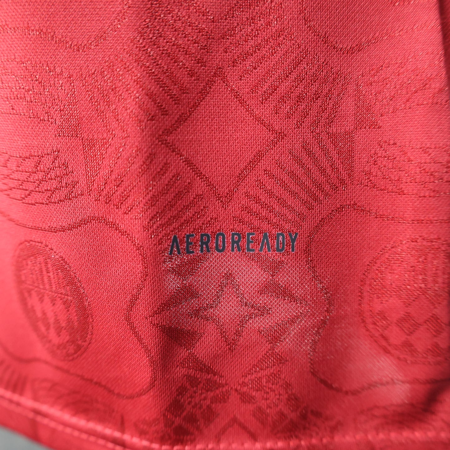 2025/2026 FC Bayern Munich 125th Anniversary Red Shirt(Player)