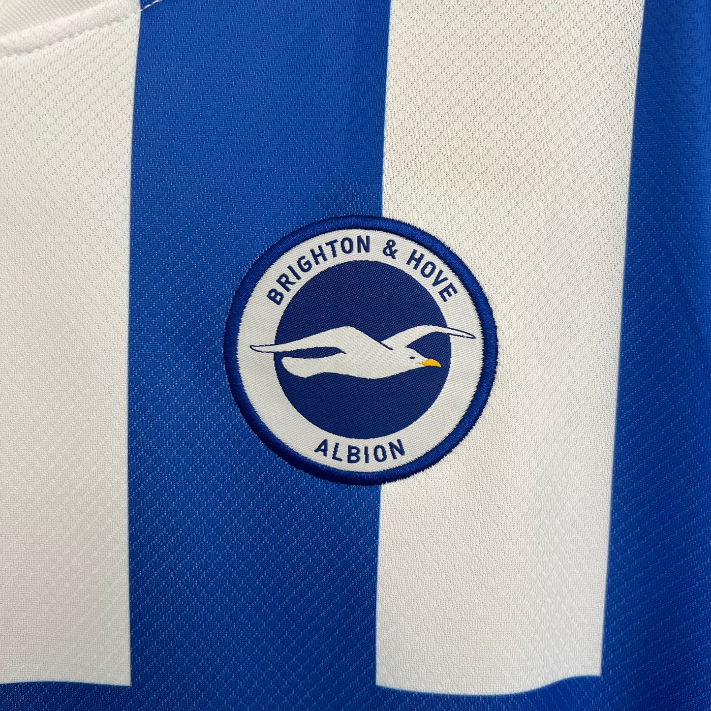 25/26 Brighton Home shirt
