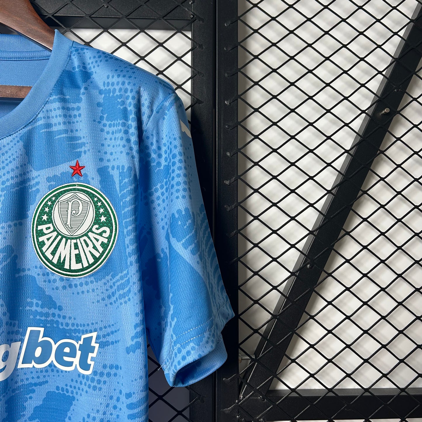 2025/2026 Palmeiras Goalkeeper Shirt