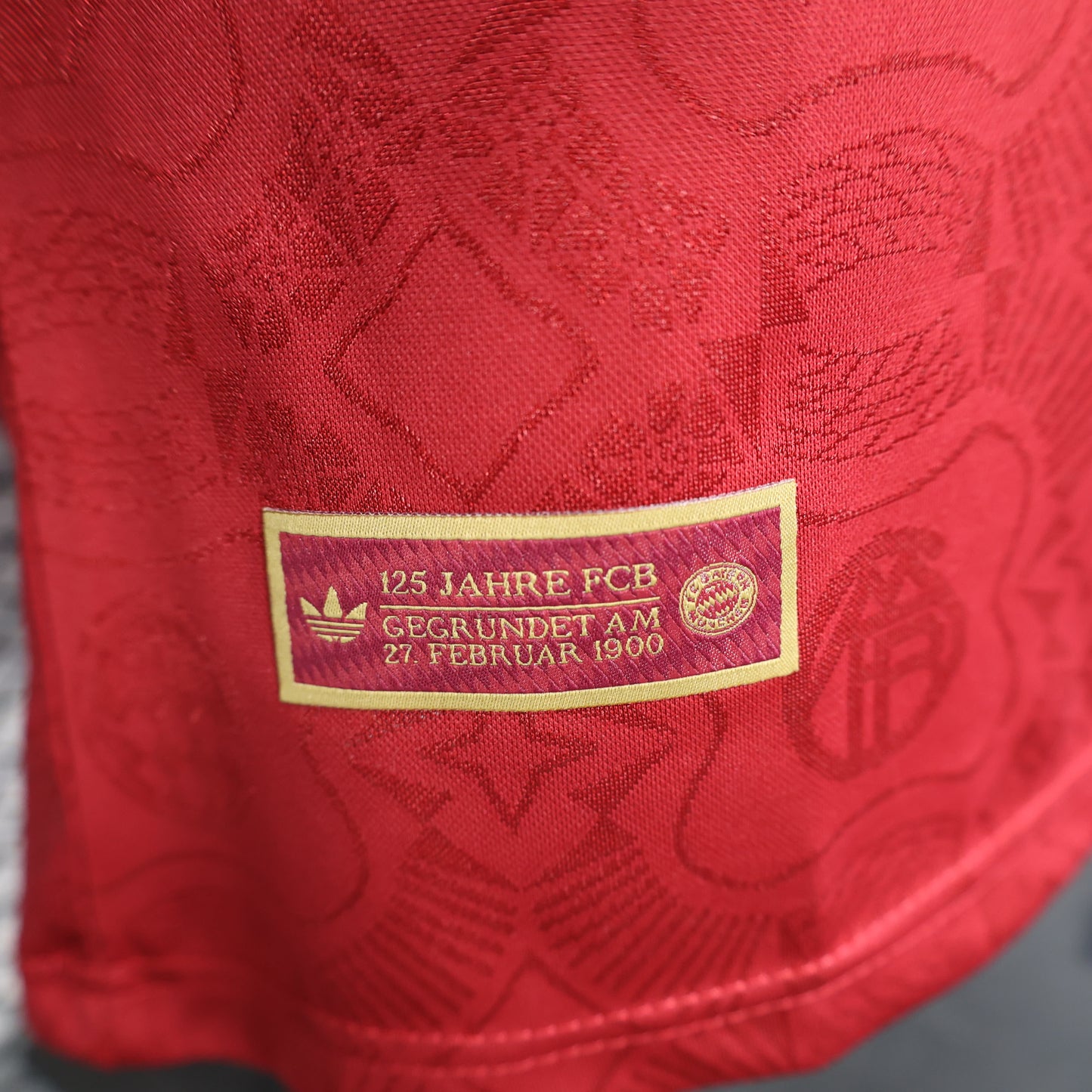 2025/2026 FC Bayern Munich 125th Anniversary Red Shirt(Player)