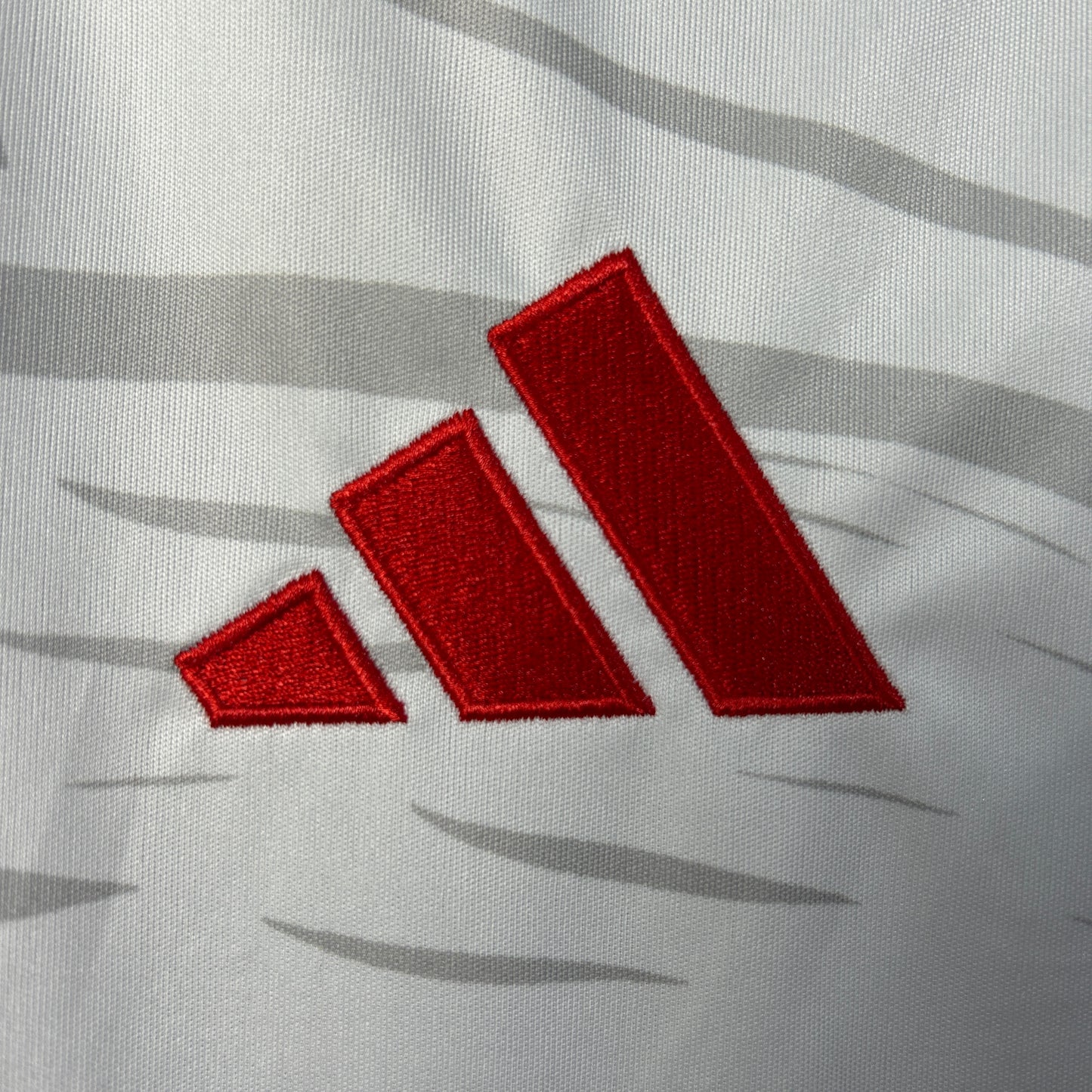25/26 Benfica Special Edition Shirt