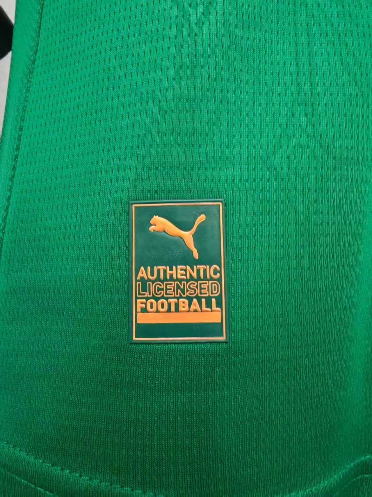 2025/2026 Palmeiras Home Shirt(Player)