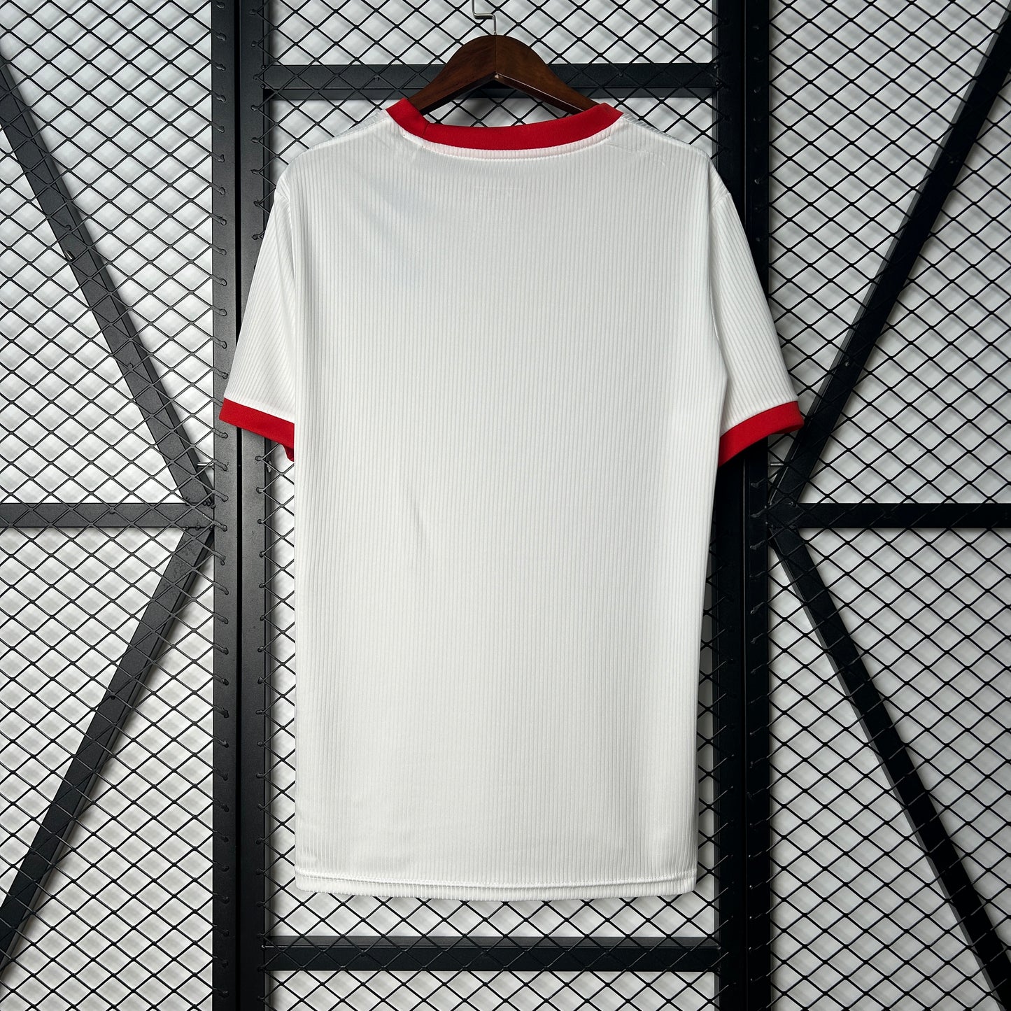 25/26 Benfica Special Edition Shirt