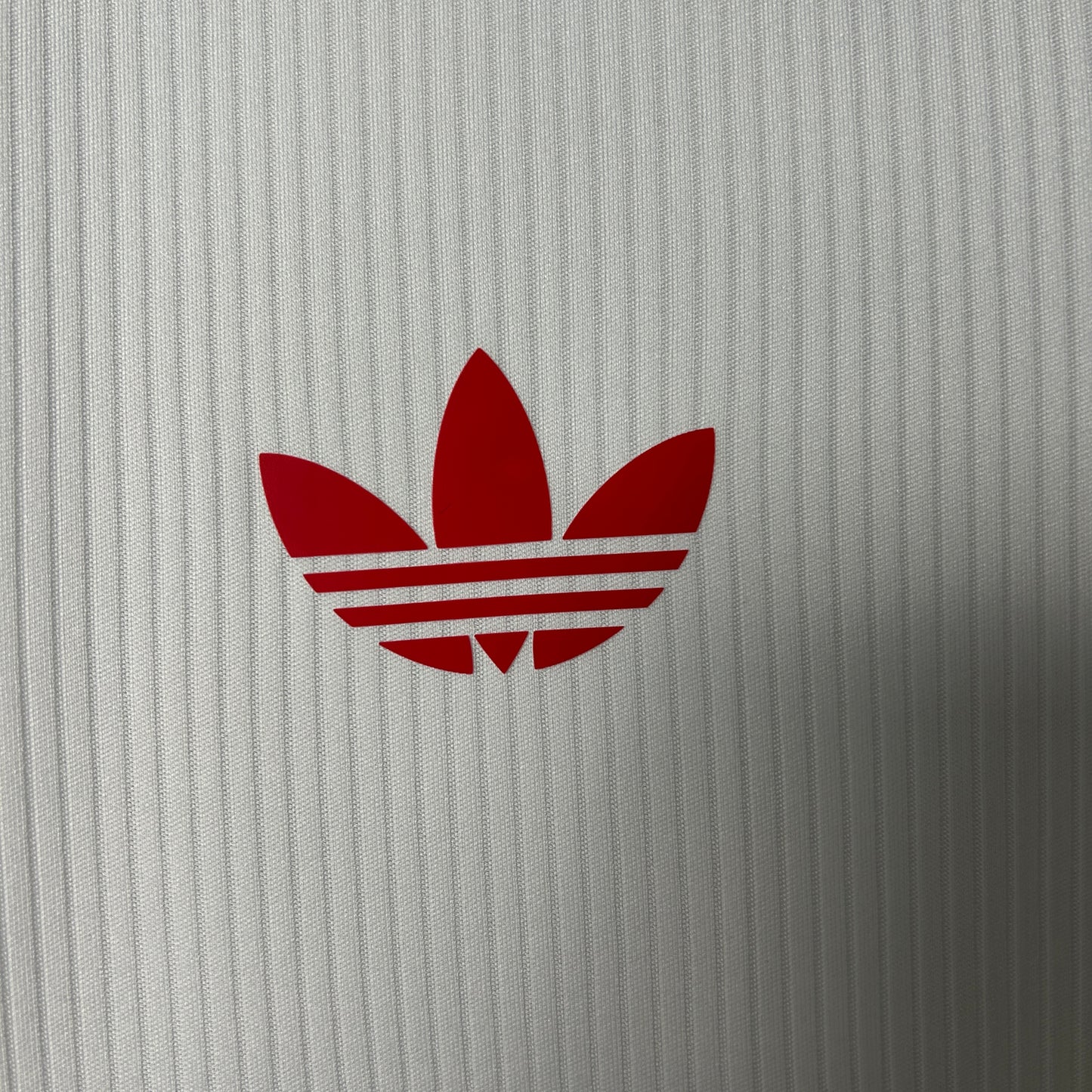 25/26 Benfica Special Edition Shirt