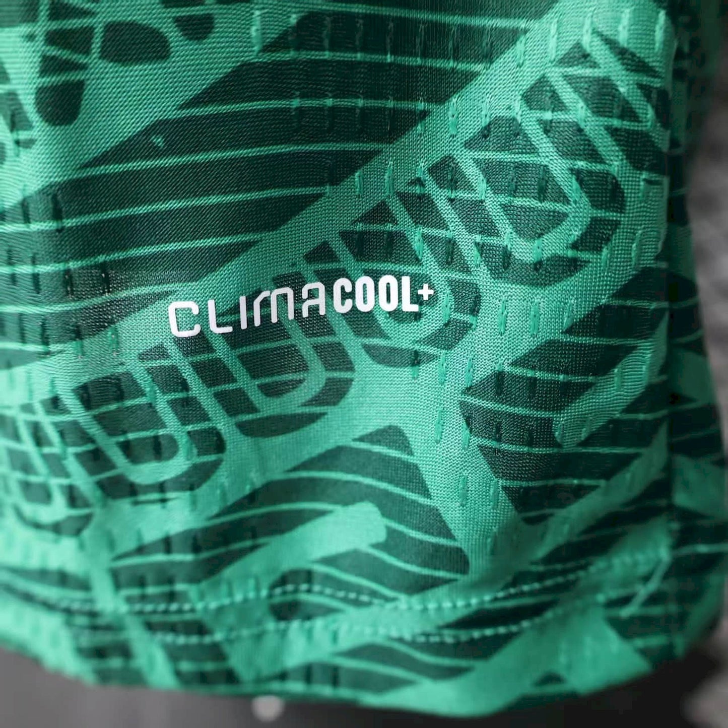 Mens Mexico World Cup Home Jersey Player Version（Player）2026