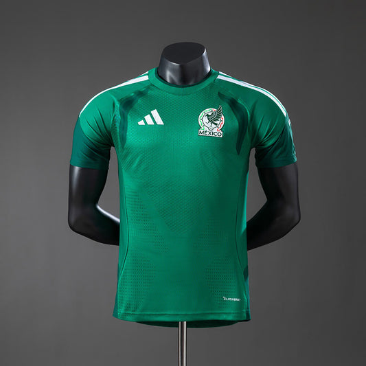 2026 Mexico World Cup Fan Edition Training - Green Jersey