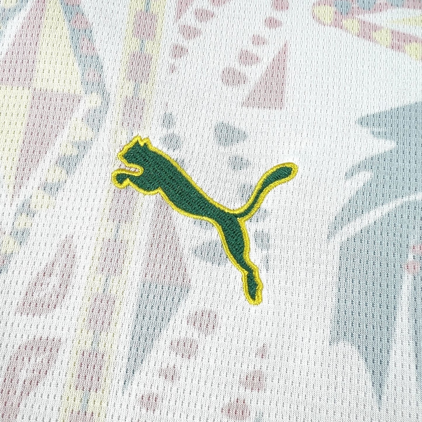 Mens Senegal Home Jersey shirt 2026/27