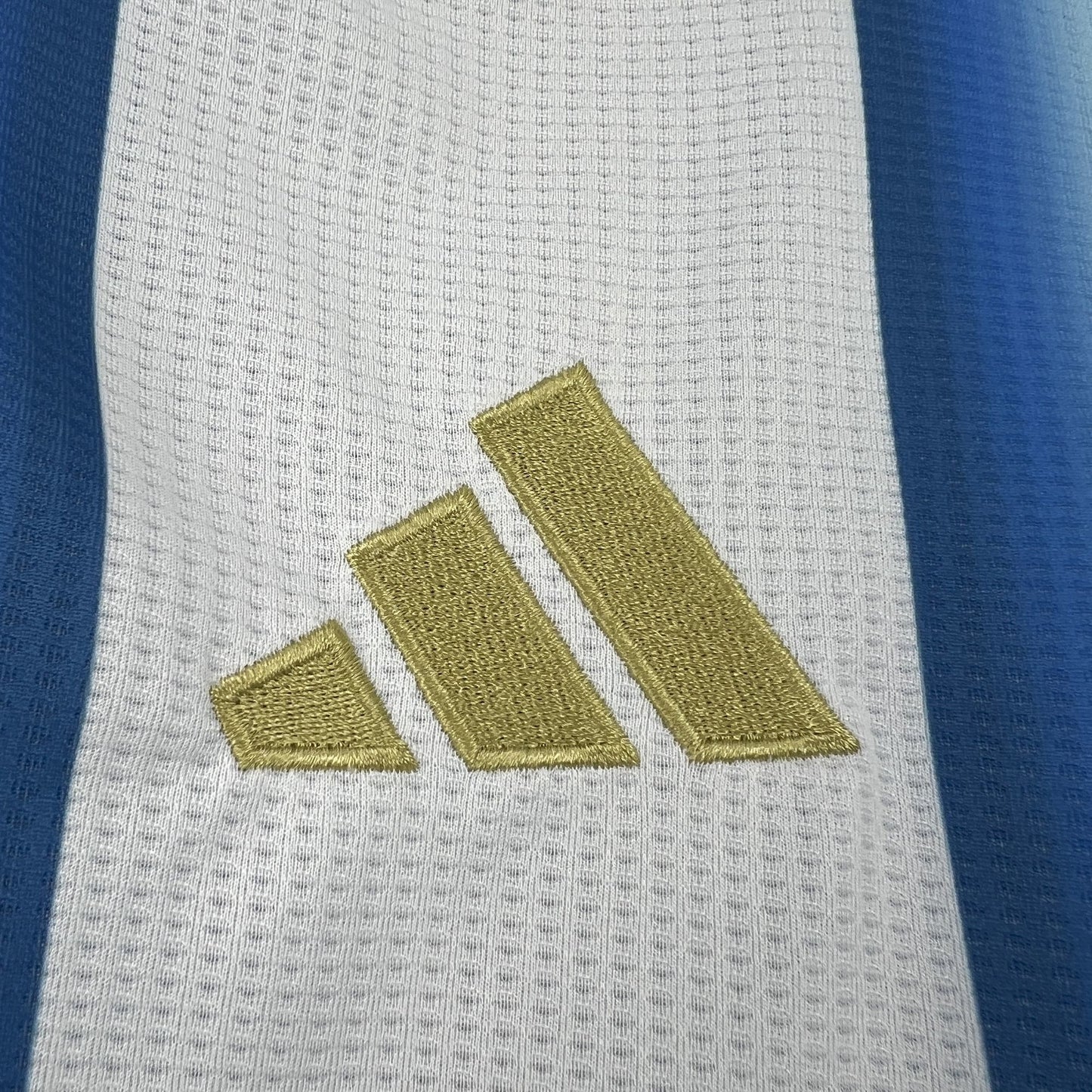 Mens Argentina Home Jersey shirt 2025/26