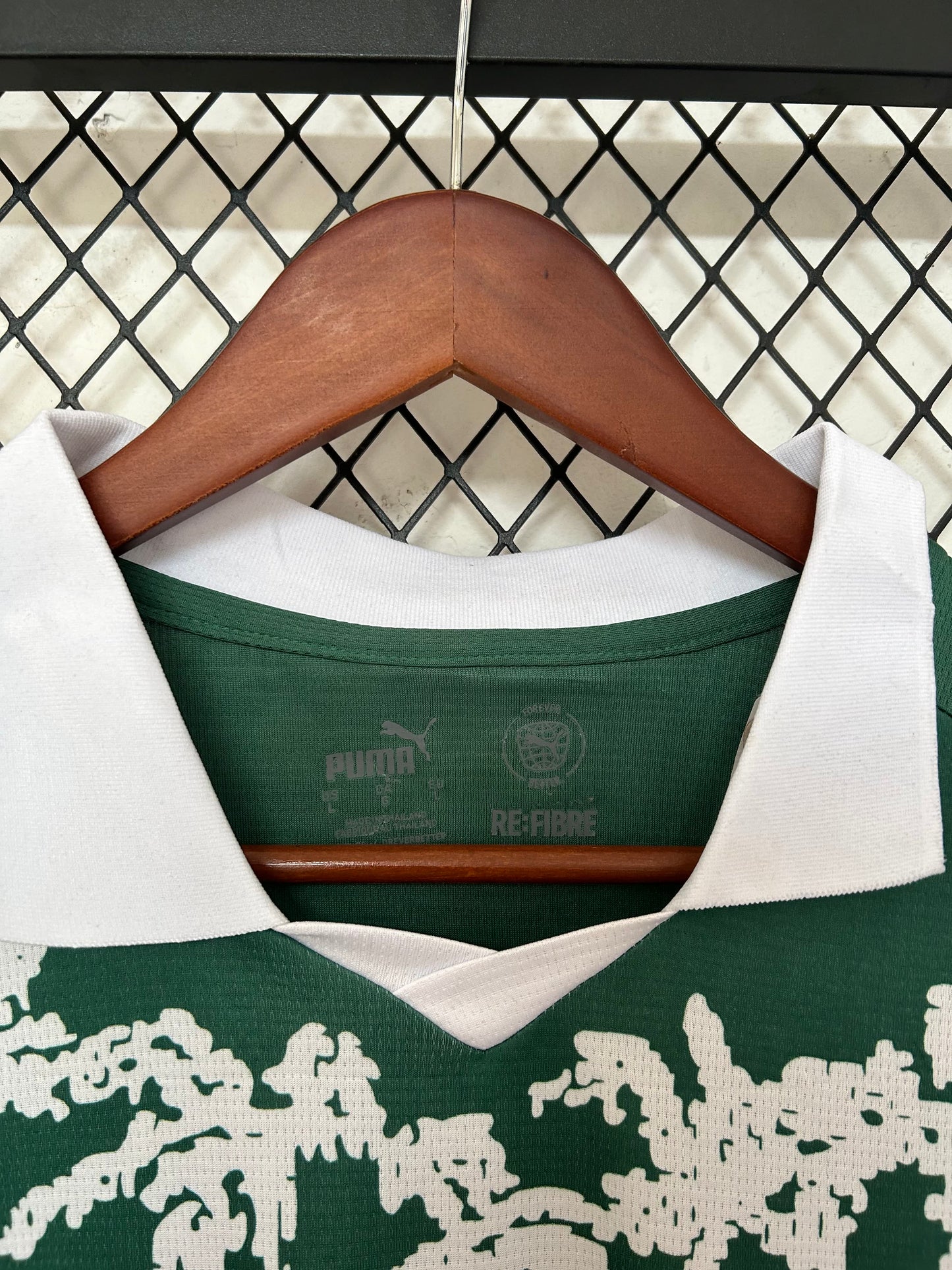 2025/2026 Palmeiras Special Edition Shirt