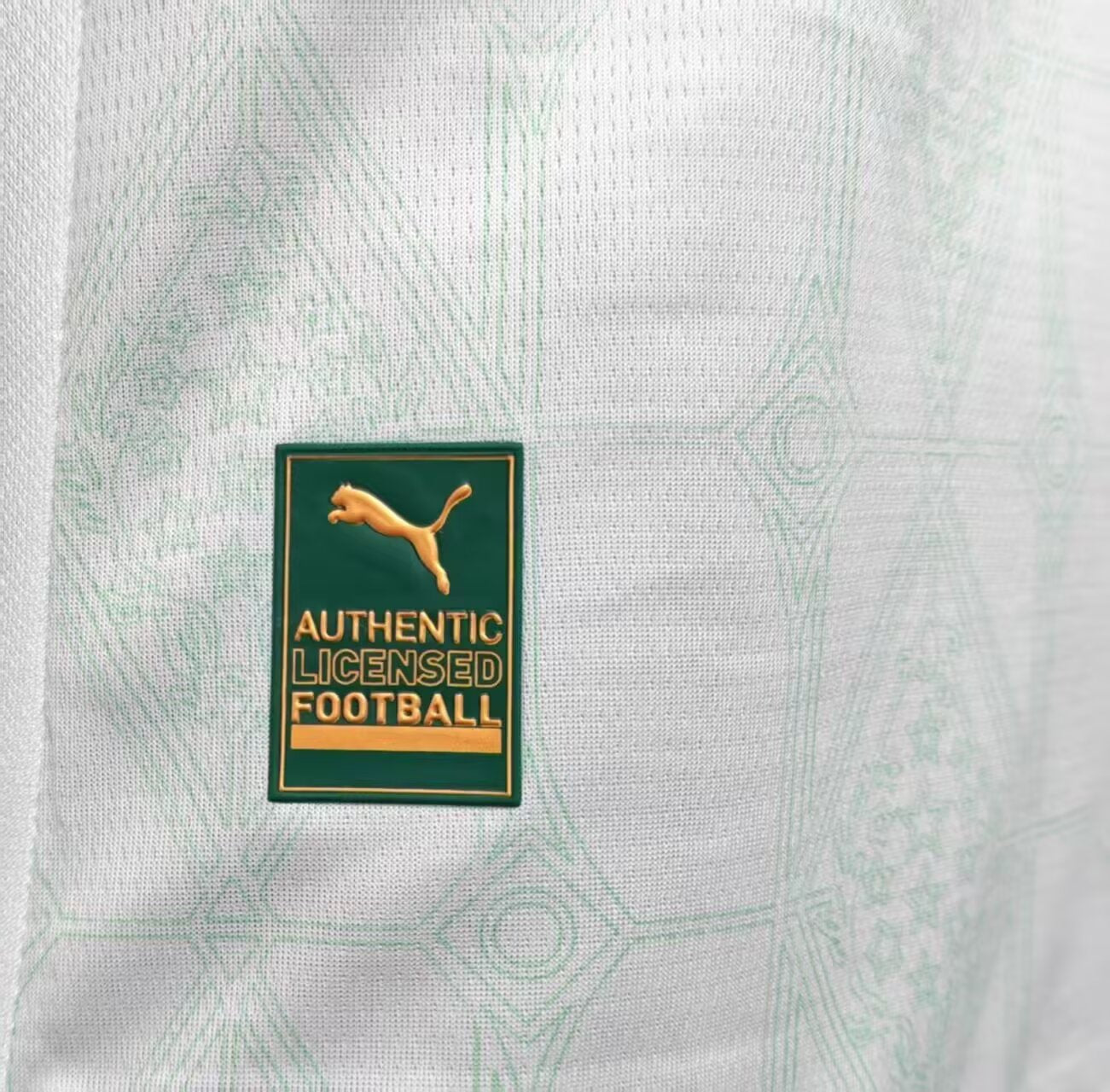 2025/2026 Palmeiras Away Shirt（Player）